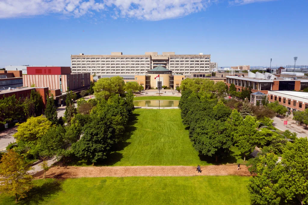 York-University