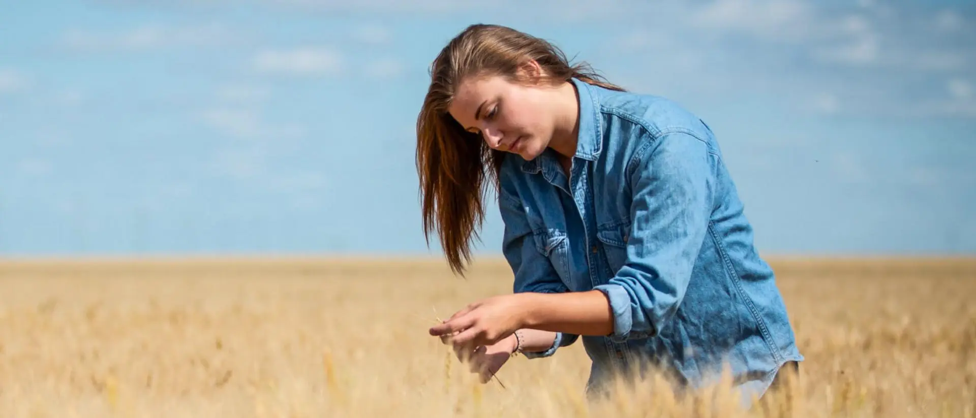 Bachelor of Science in Agriculture
